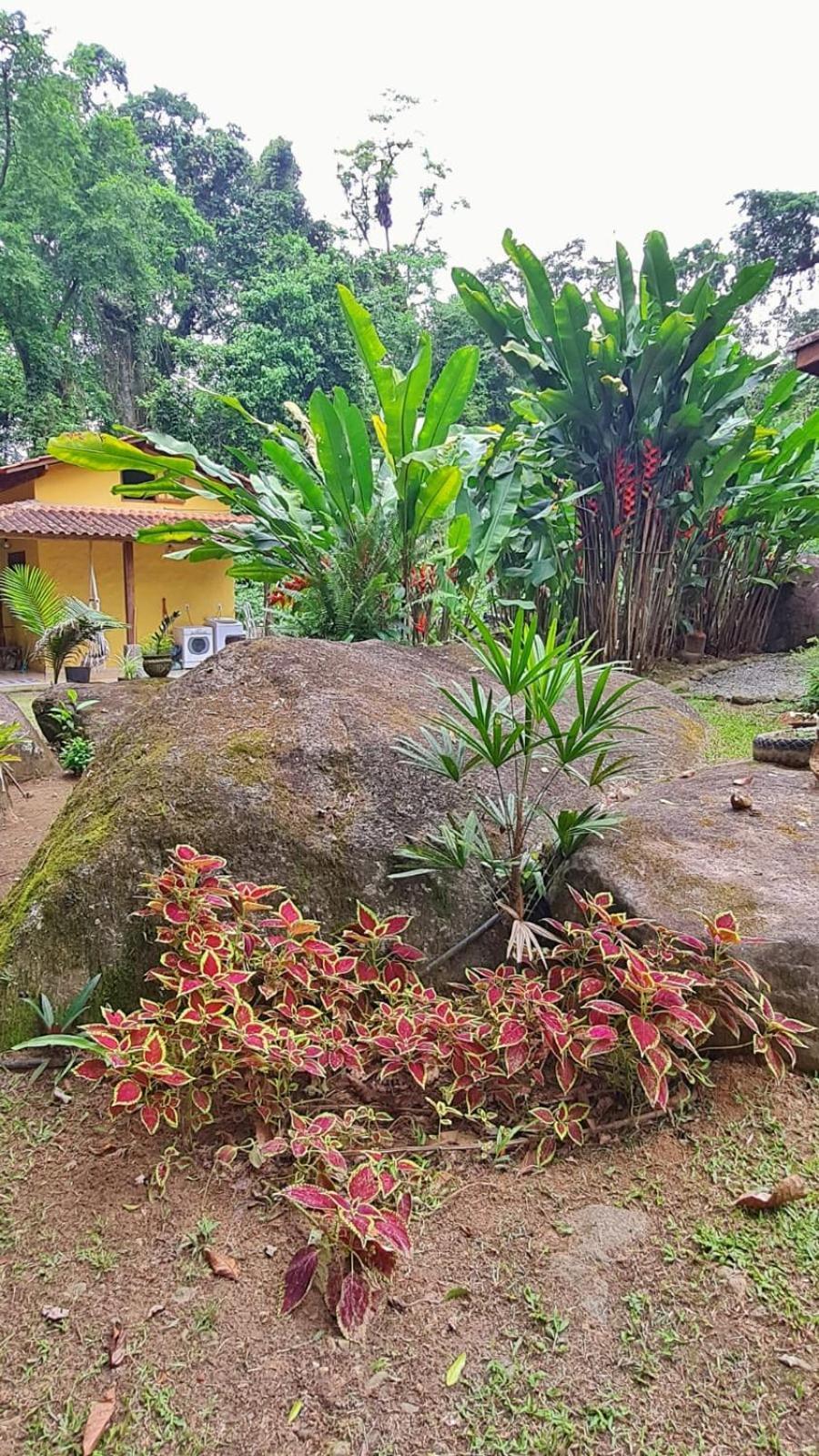 Recanto Da Margo 1, Casa Com Acesso A Cachoeira Paraty Luaran gambar