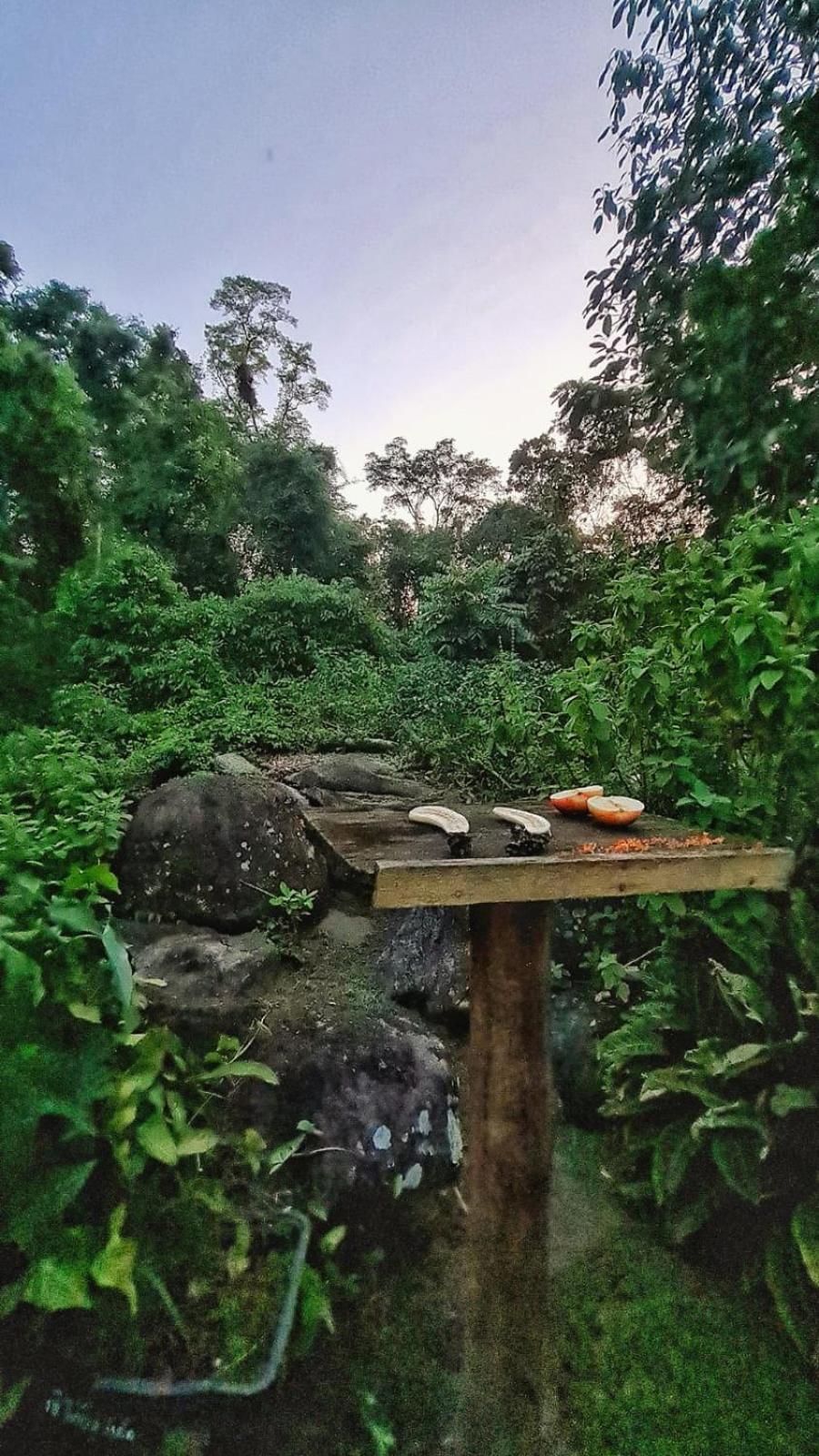 Recanto Da Margo 1, Casa Com Acesso A Cachoeira Paraty Luaran gambar