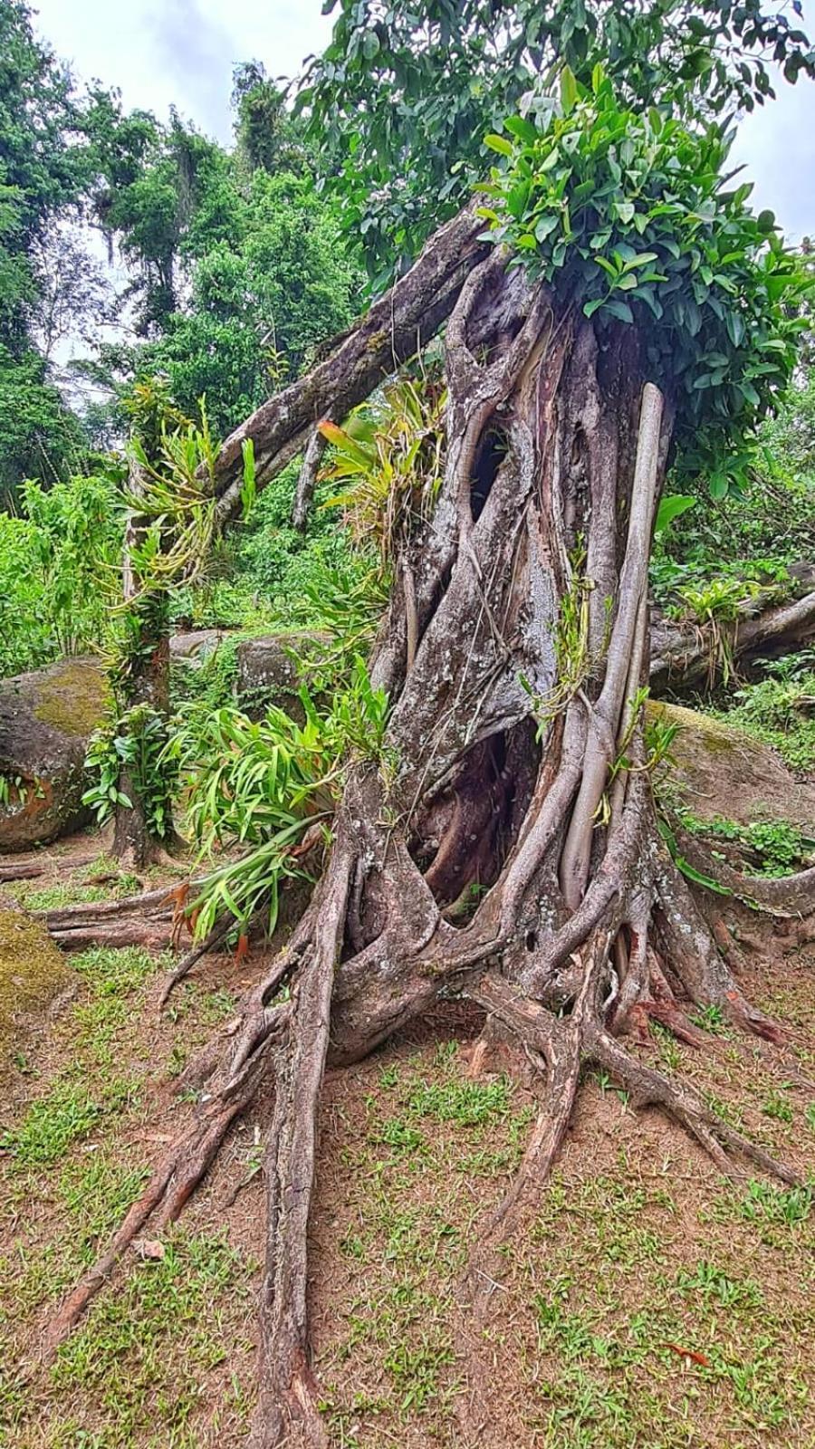 Recanto Da Margo 1, Casa Com Acesso A Cachoeira Paraty Luaran gambar